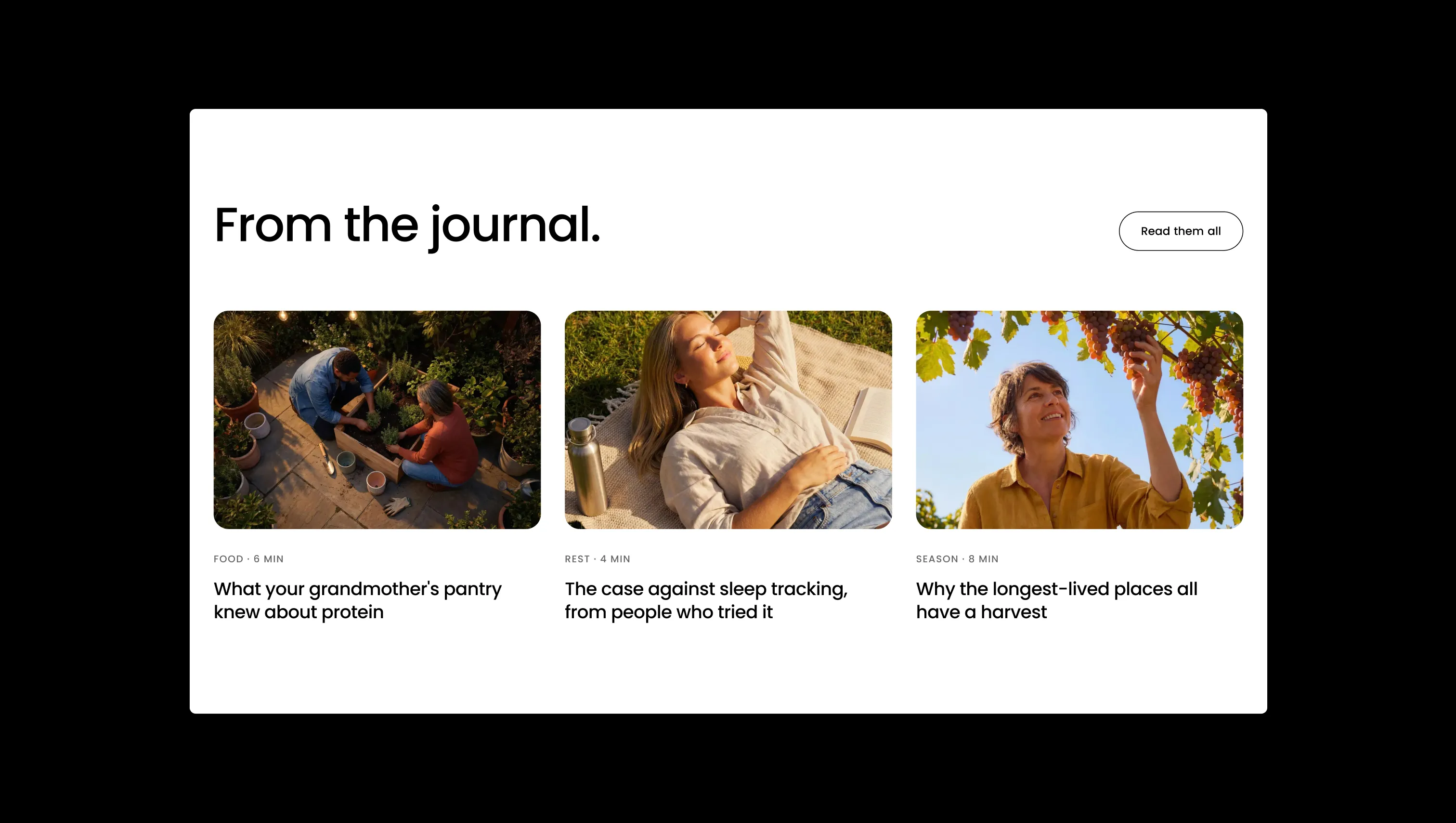 Blog Card Grid with Hover