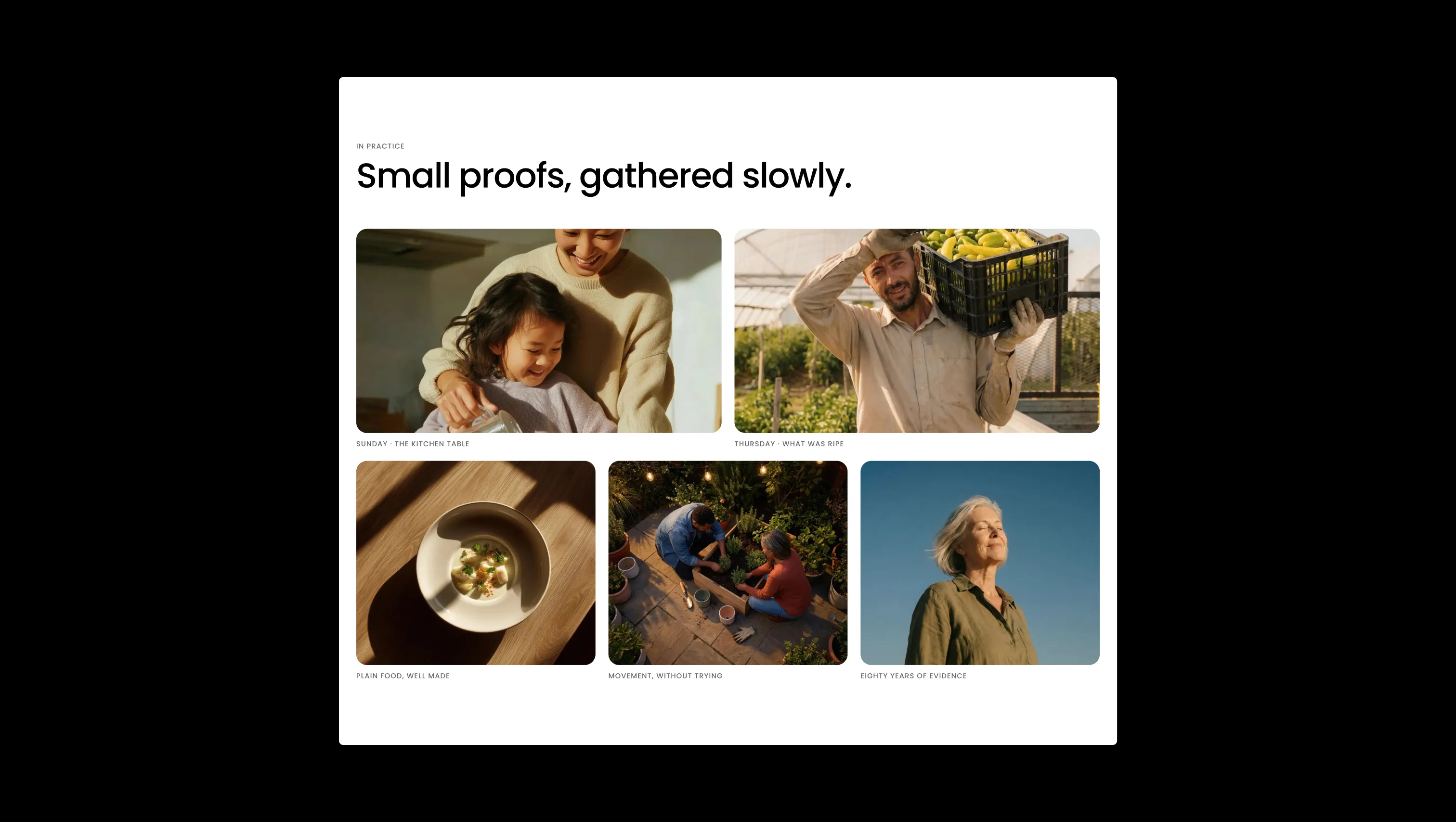 Asymmetric Photo Gallery with Captions