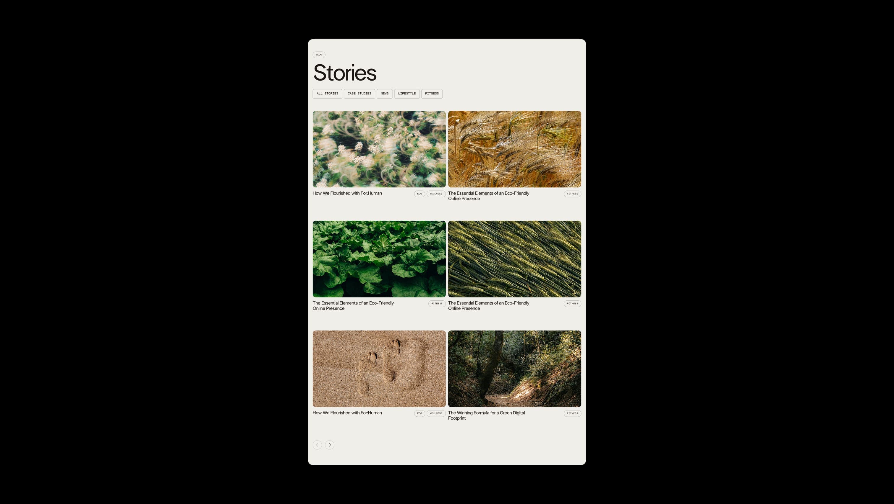 Blog Stories Grid