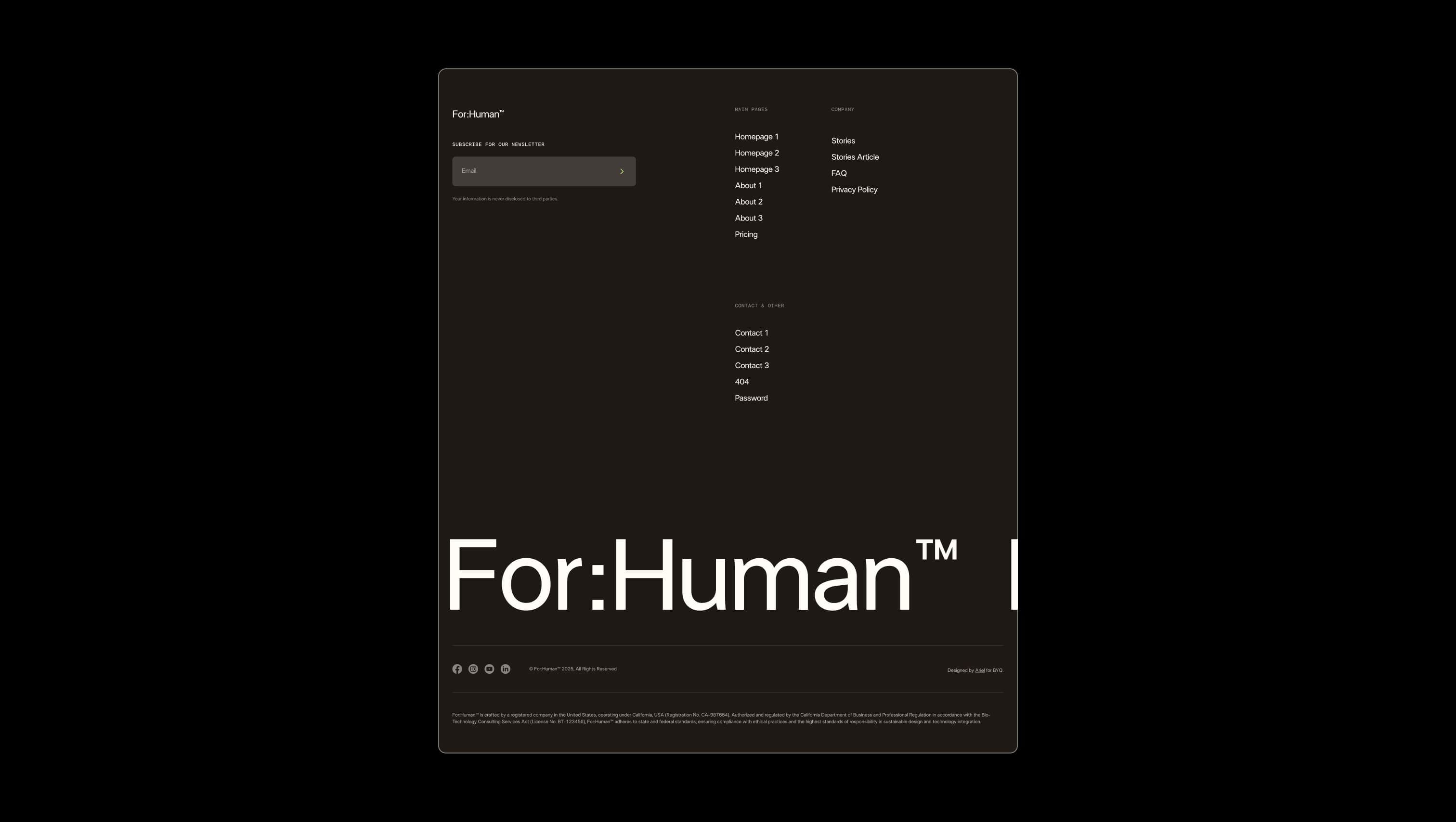 Footer with Newsletter Signup