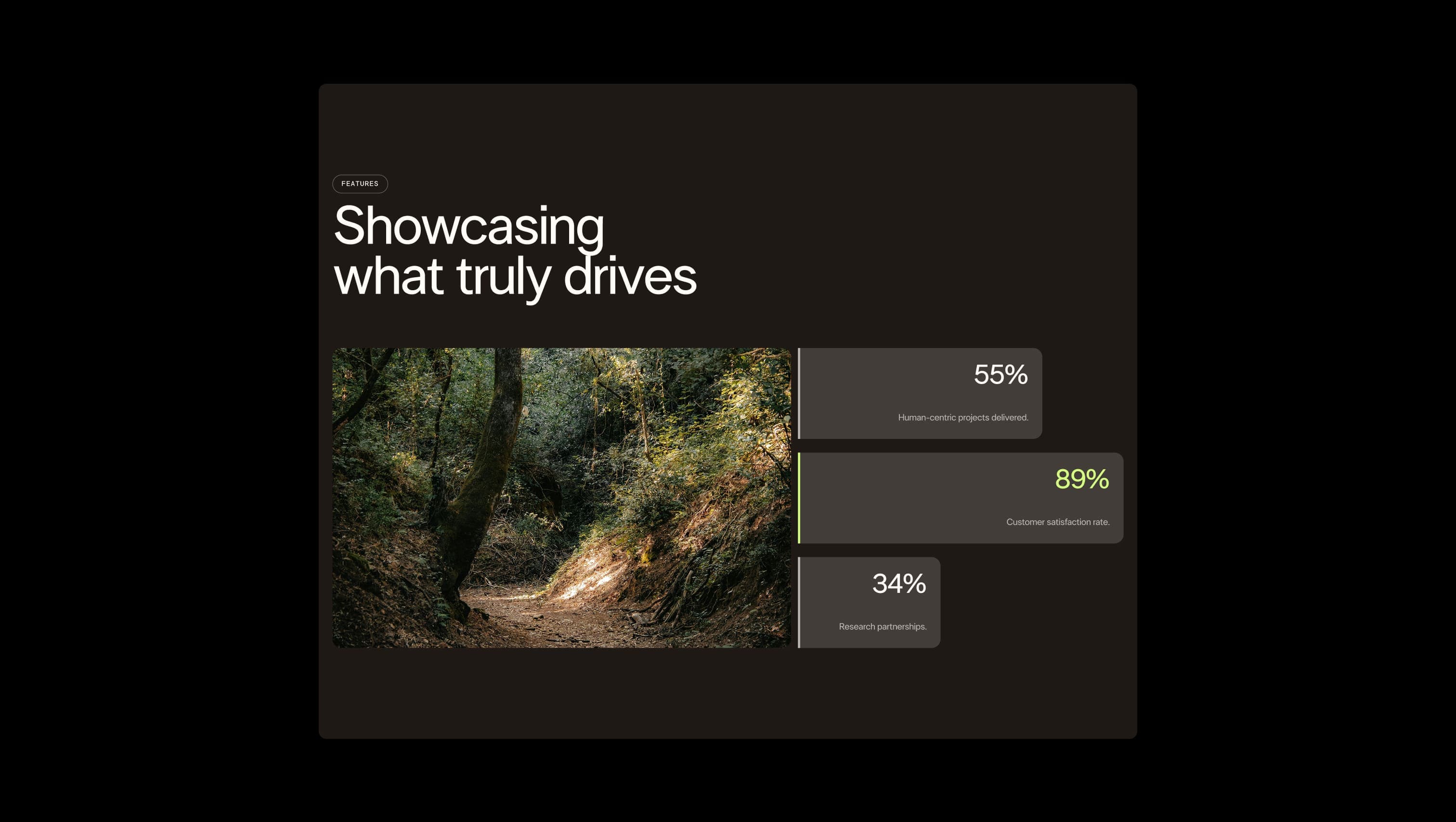 Stats Section with Image