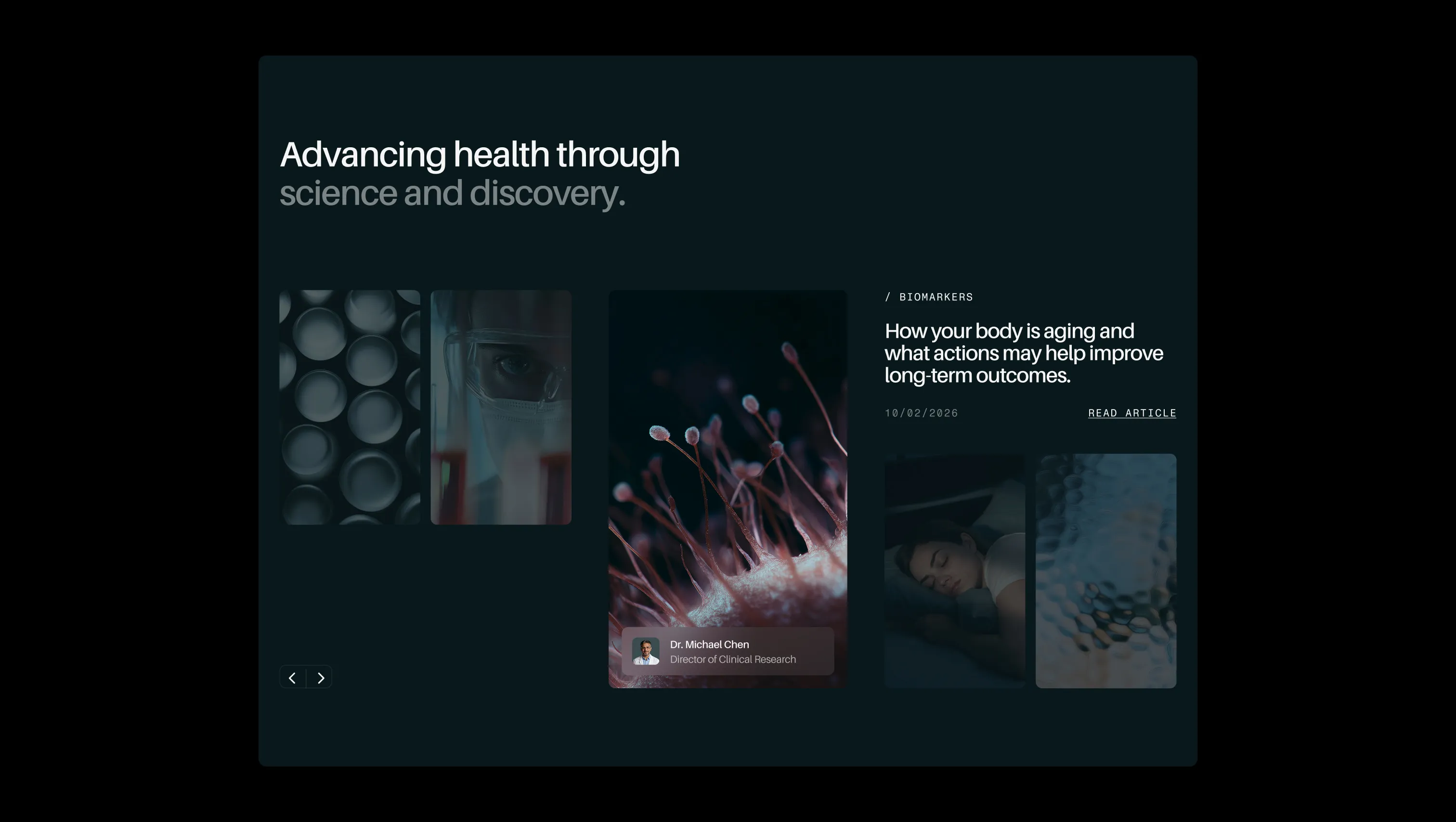 Blog Article Slider Showcase