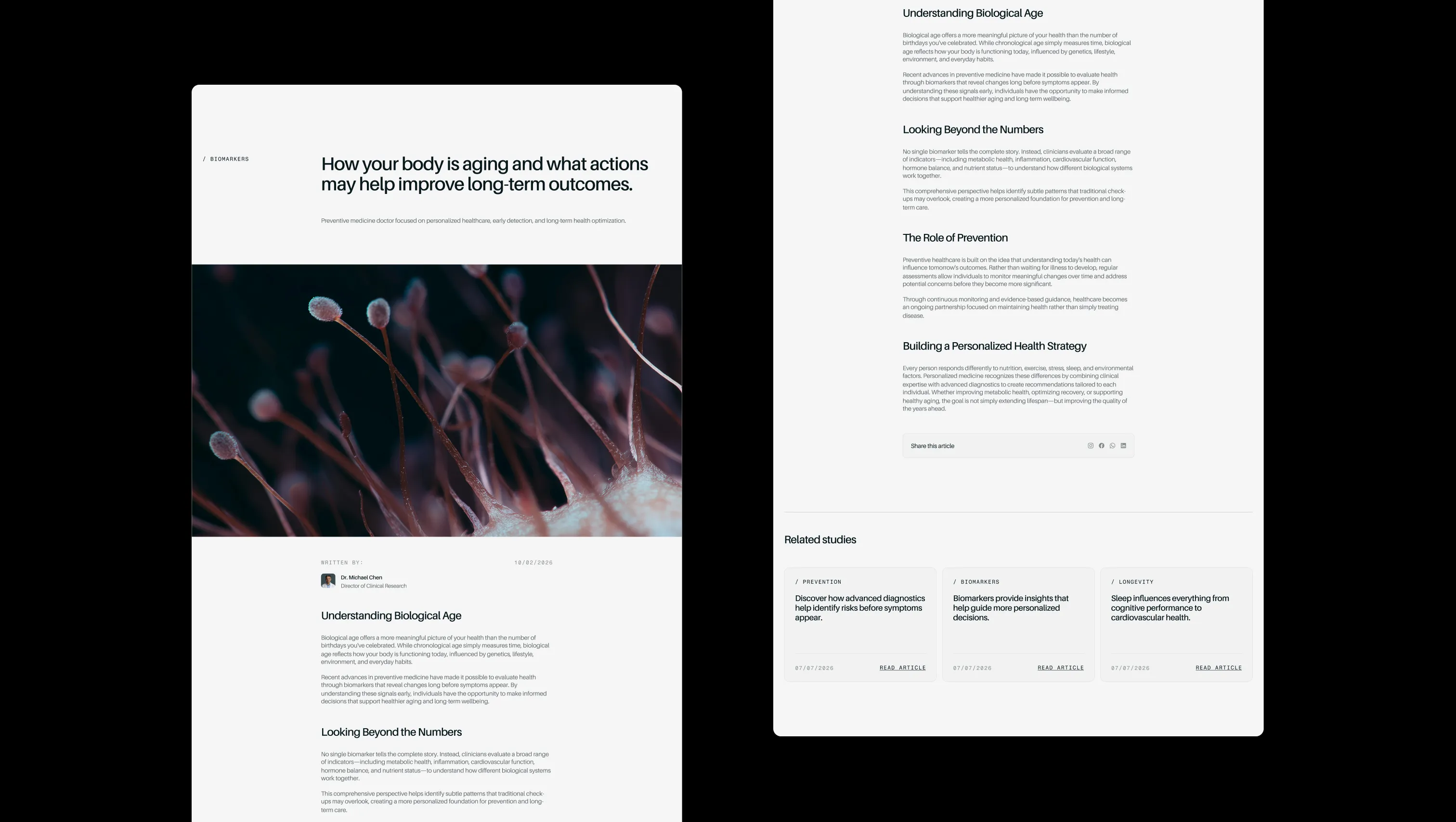 Blog Article Layout with Related Posts