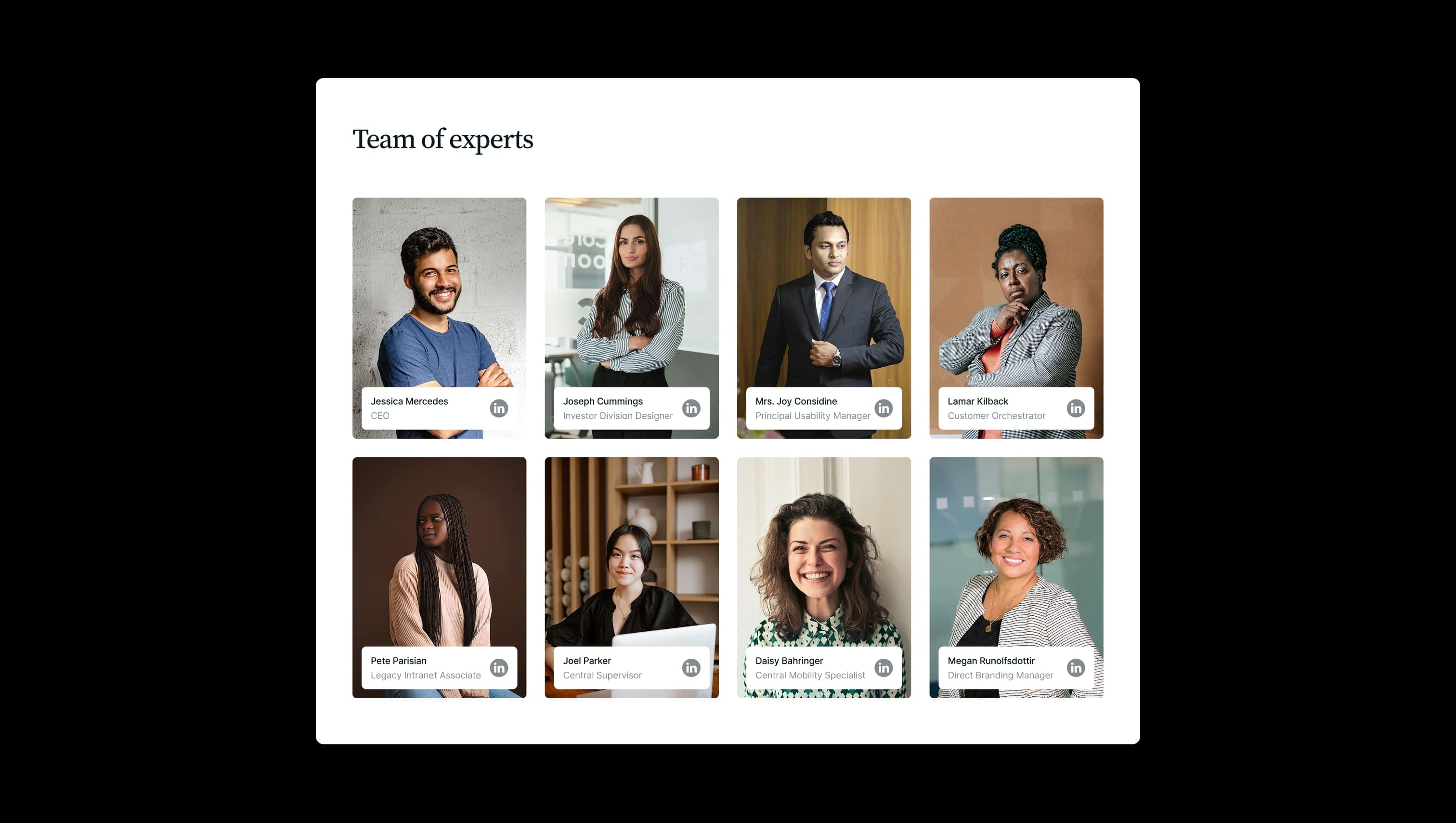Team Member Grid Cards