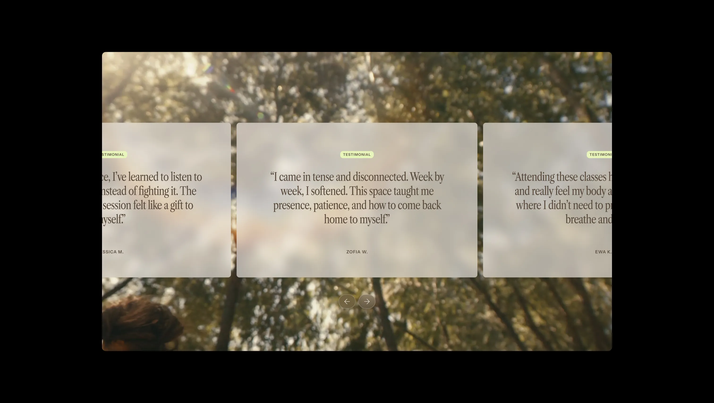 Testimonial Slider with Background Video