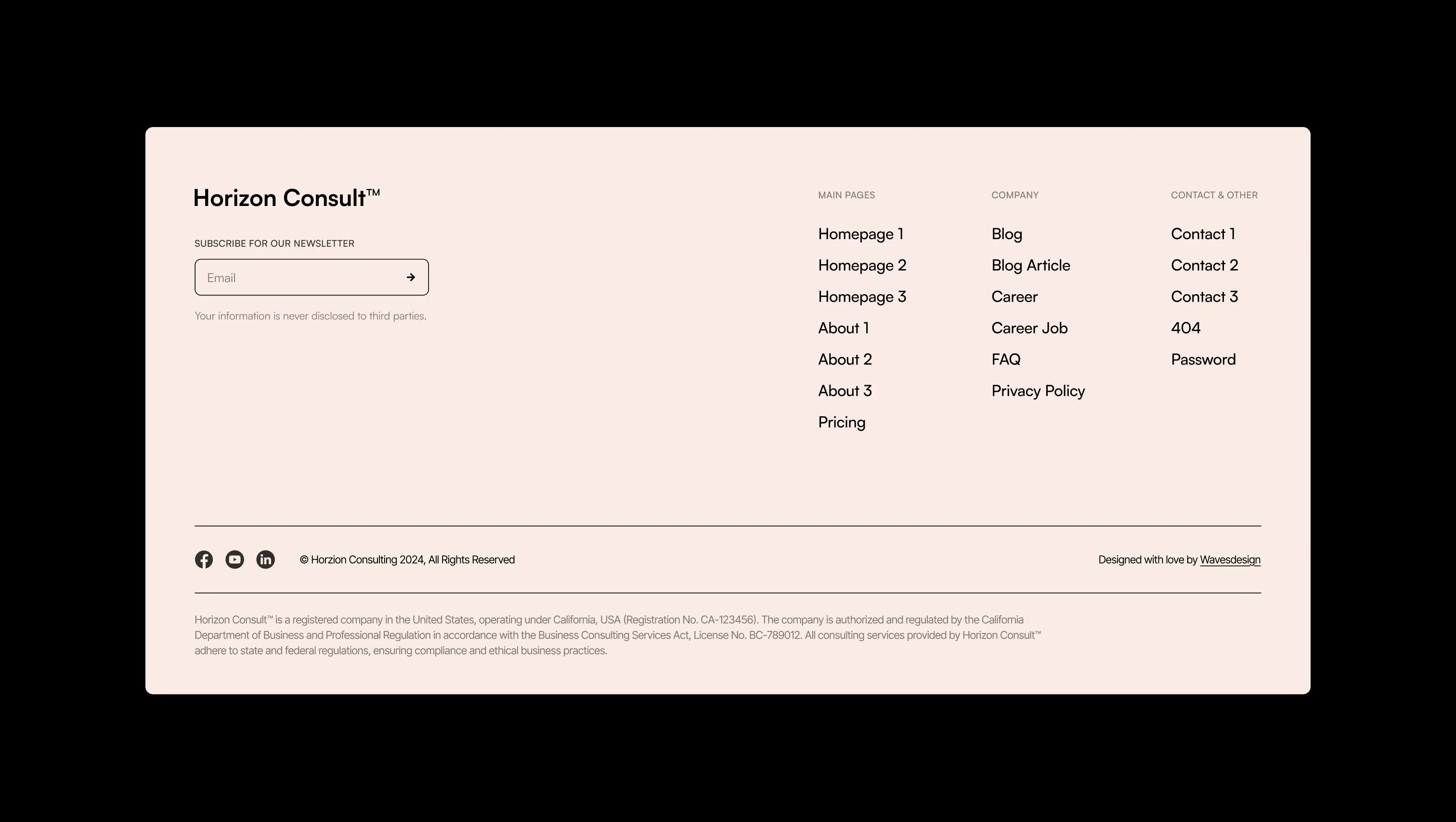 Newsletter Footer with Links