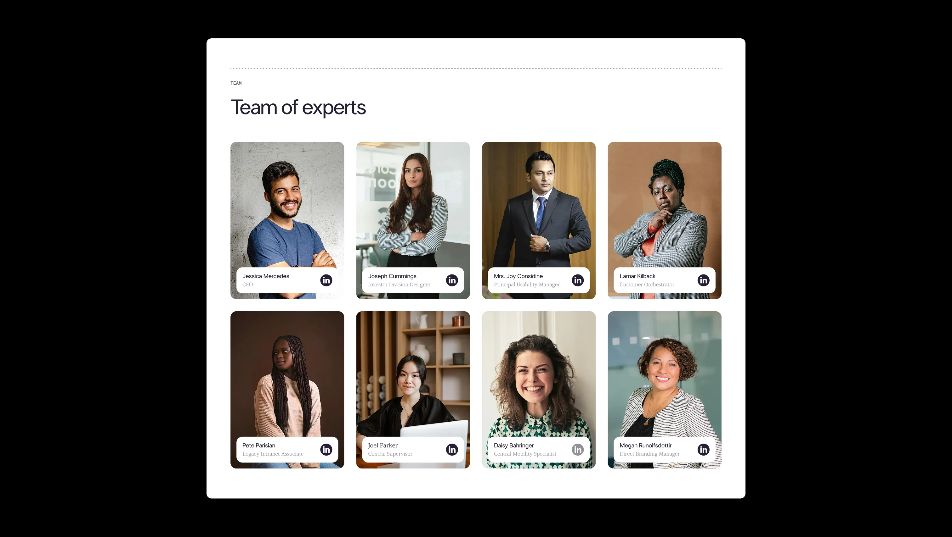 Team Grid with Photo Cards