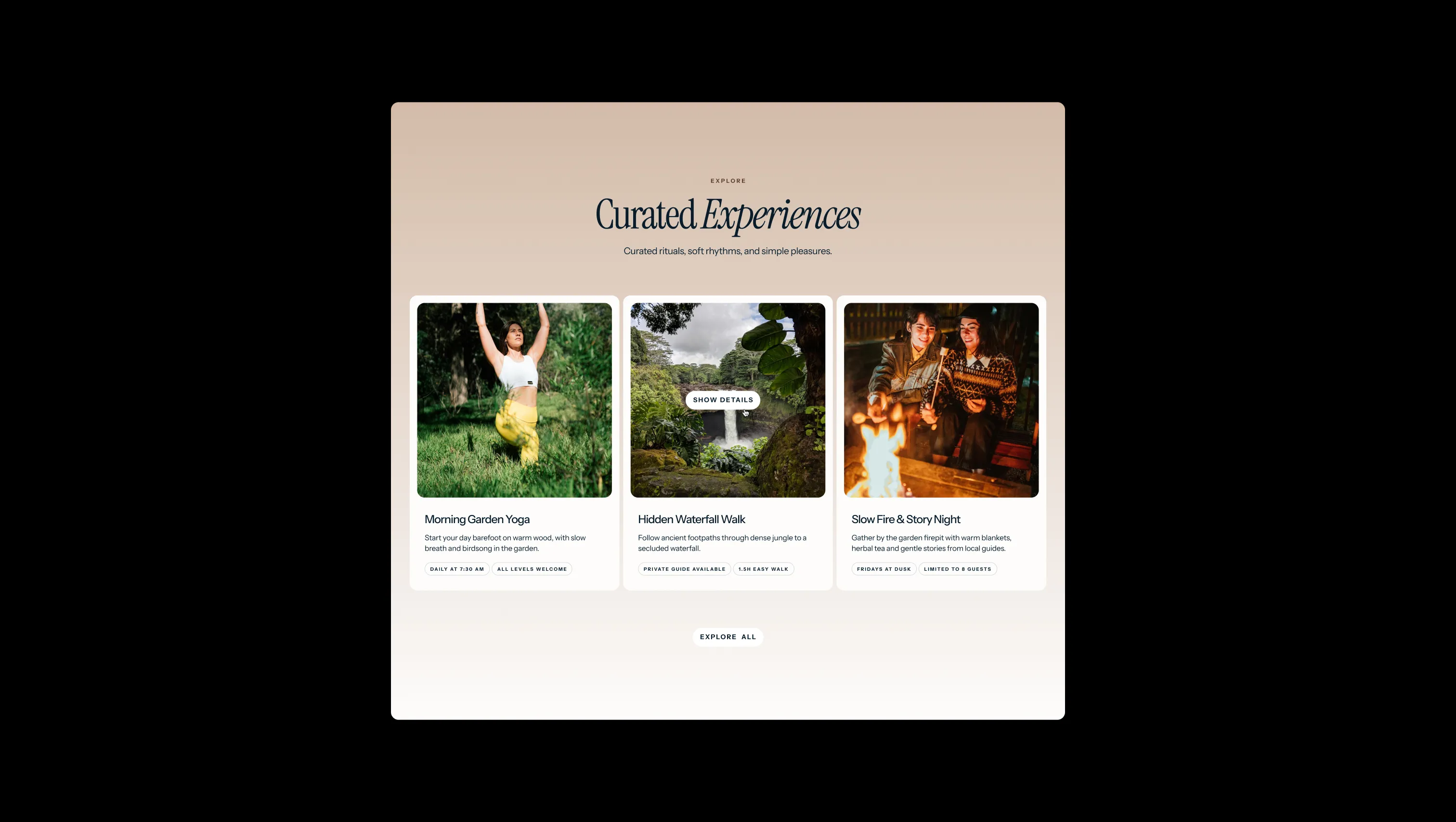 Experience Cards Grid Section