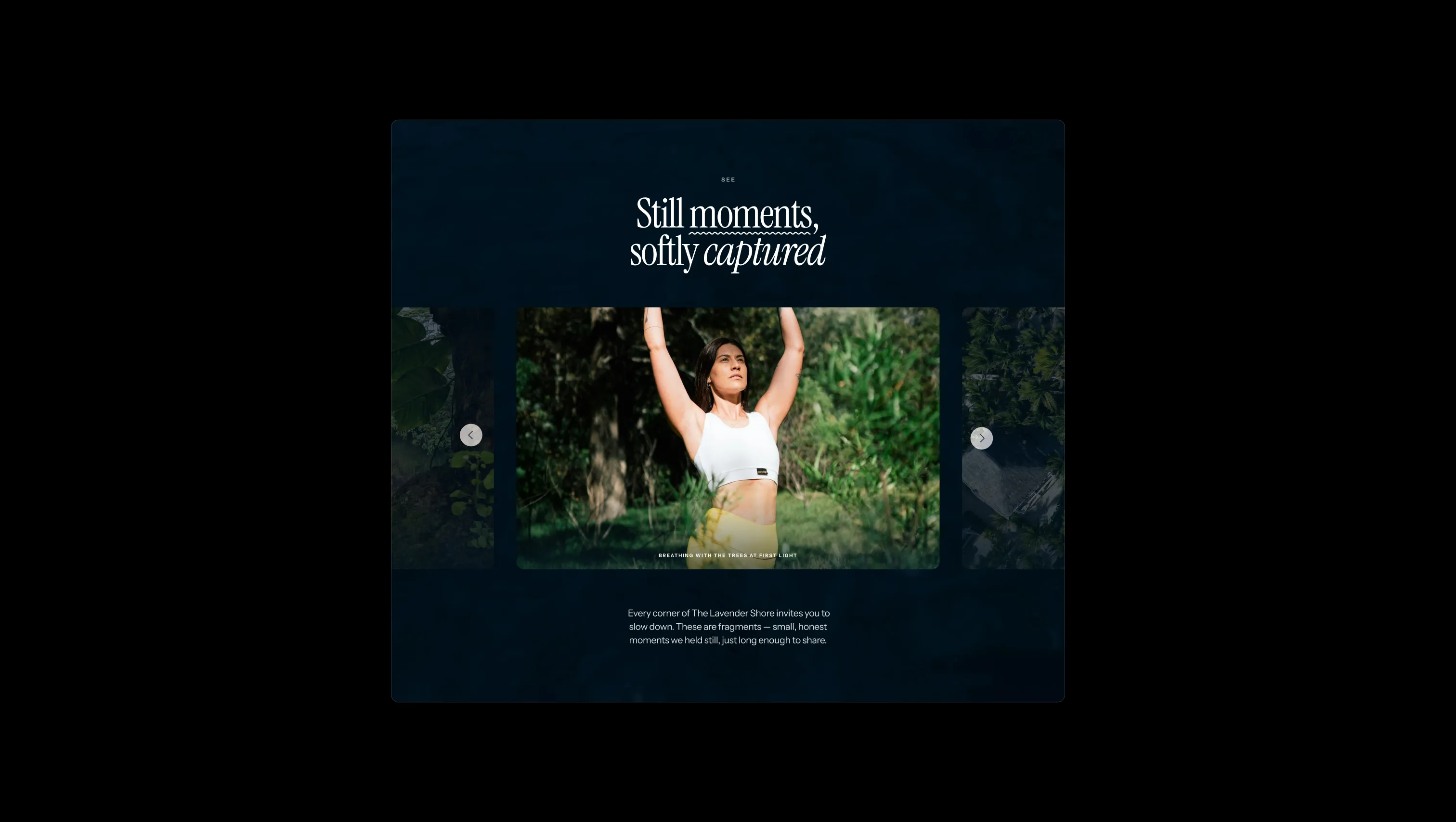 Hero Gallery Slider Section