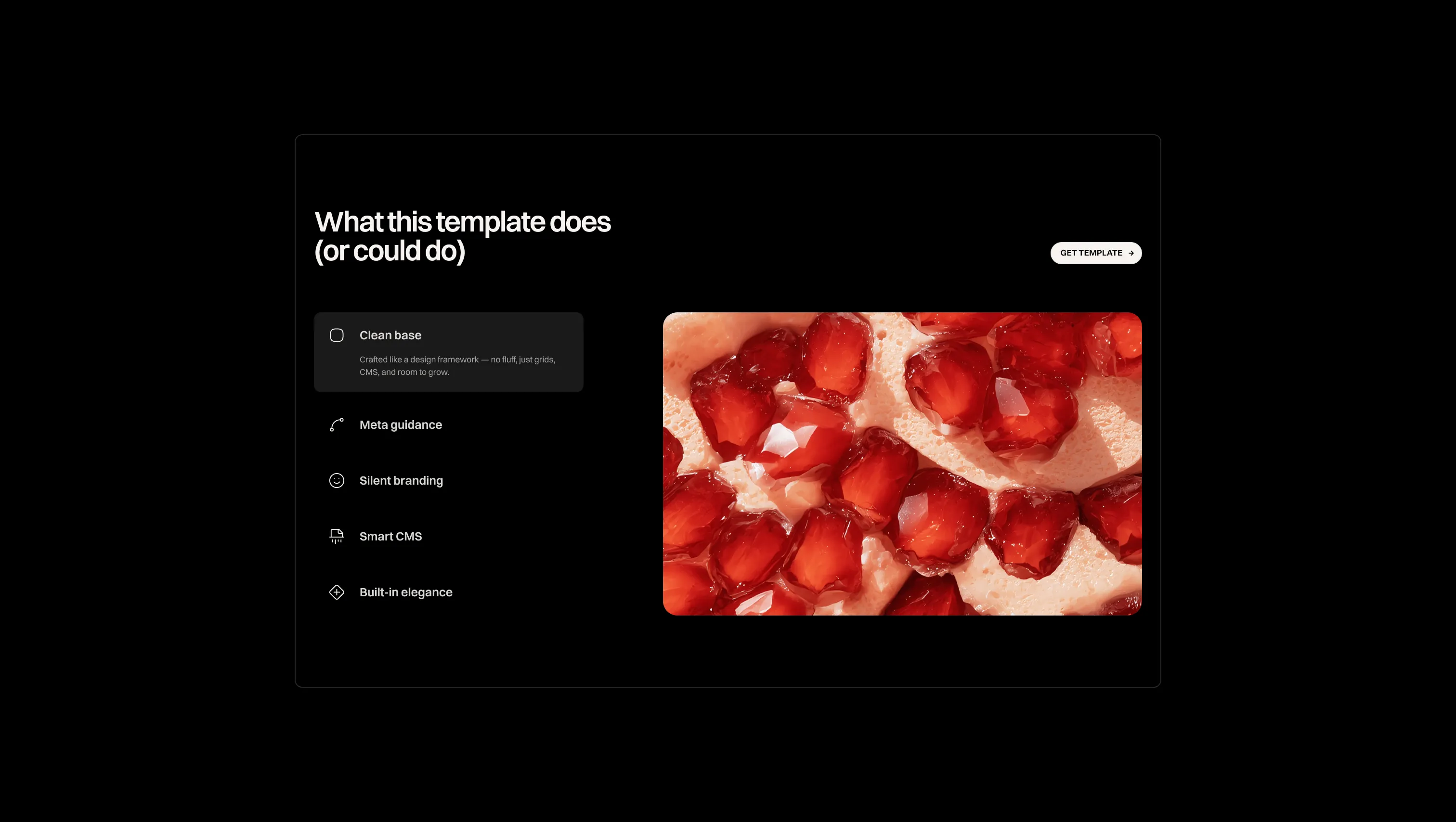 Interactive Features Showcase Tabs