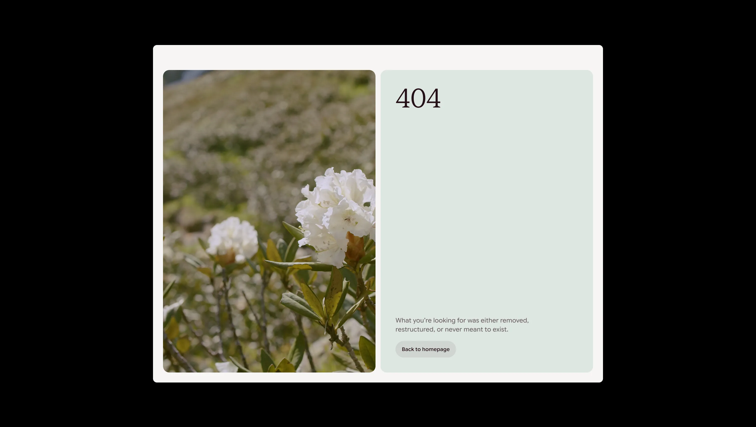 404 Error Page with Video Background