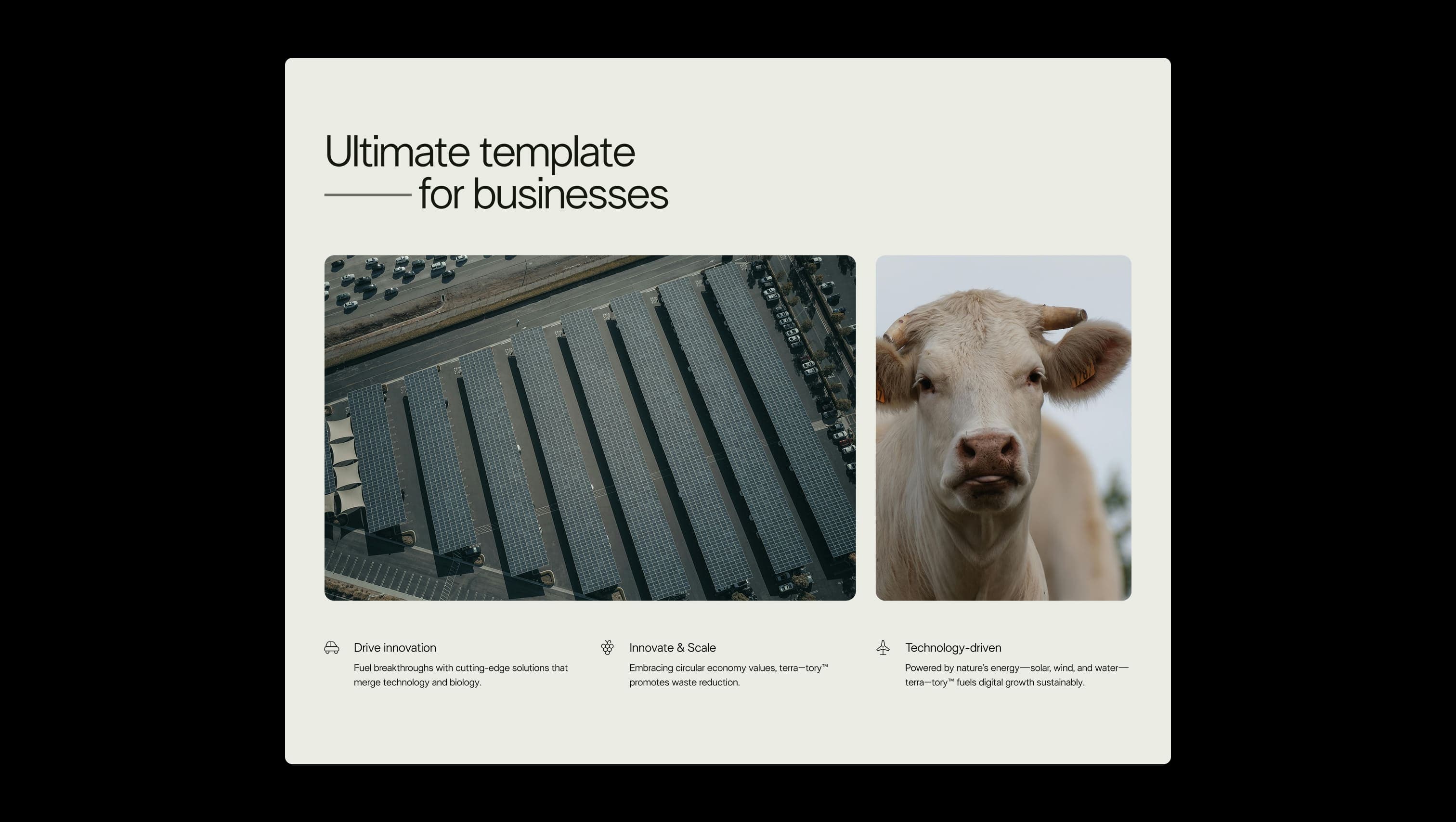 Business Feature Showcase Grid