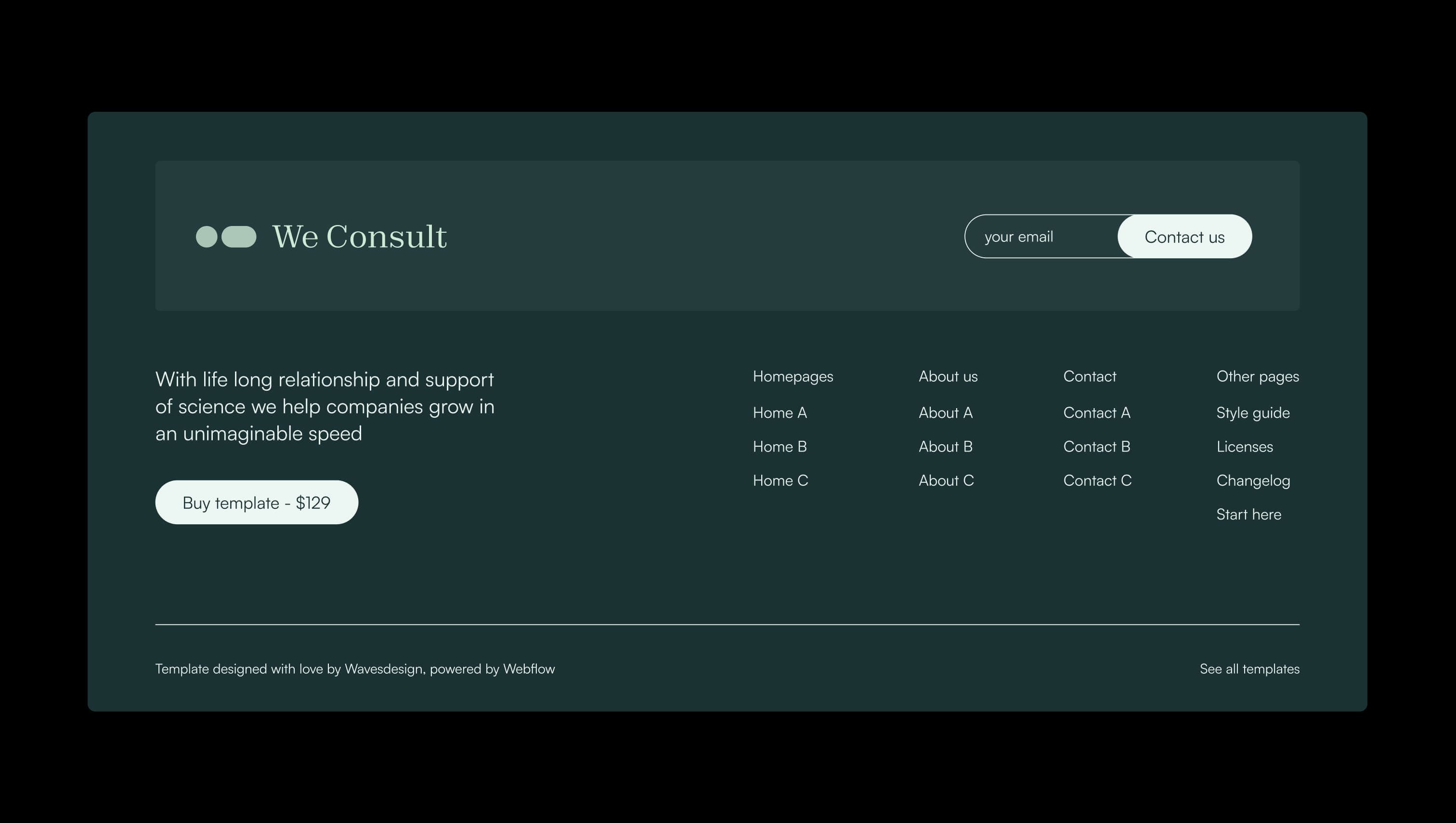 Footer with Newsletter Form