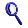 Section Explorer