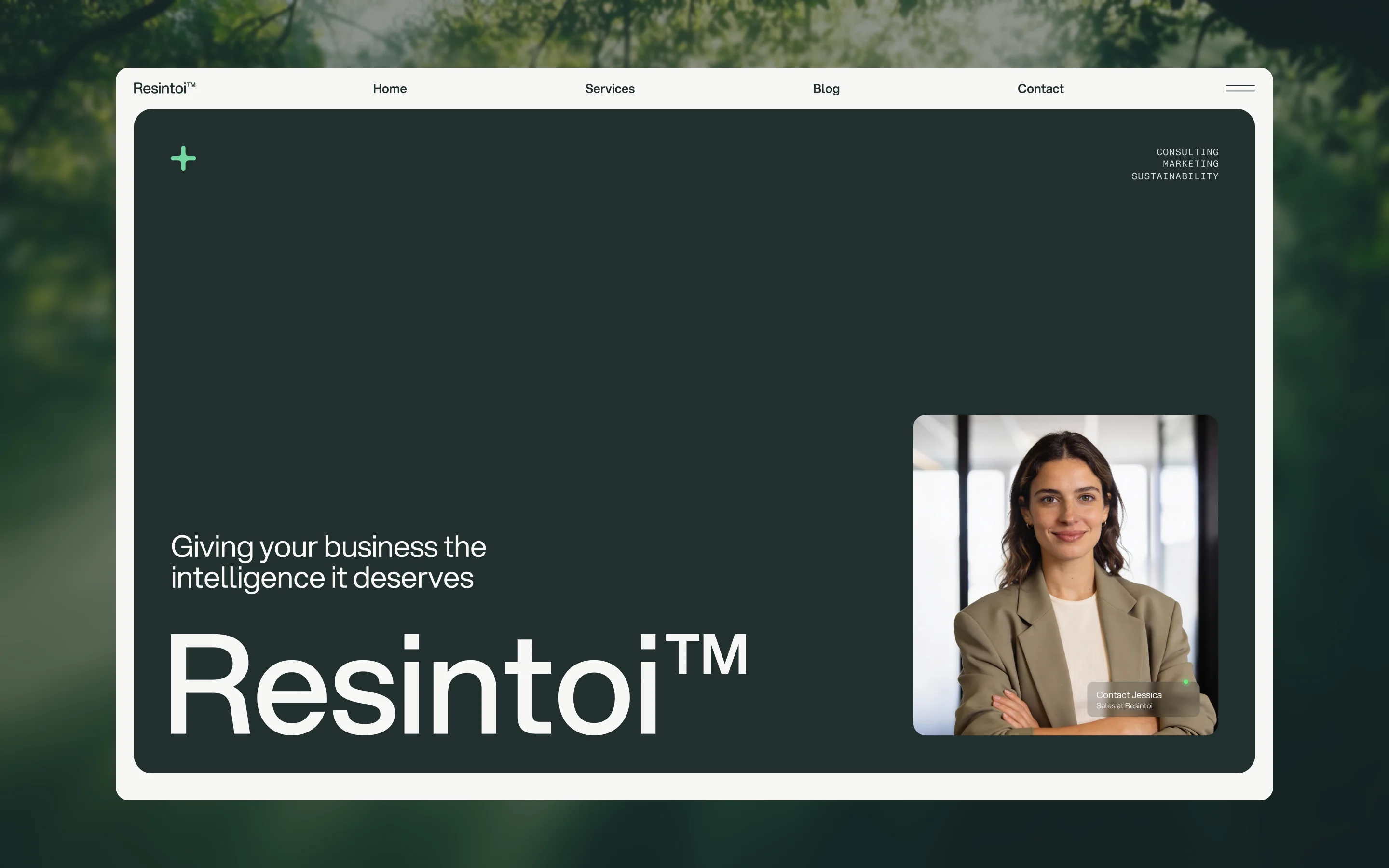 Resintoi gallery image 1