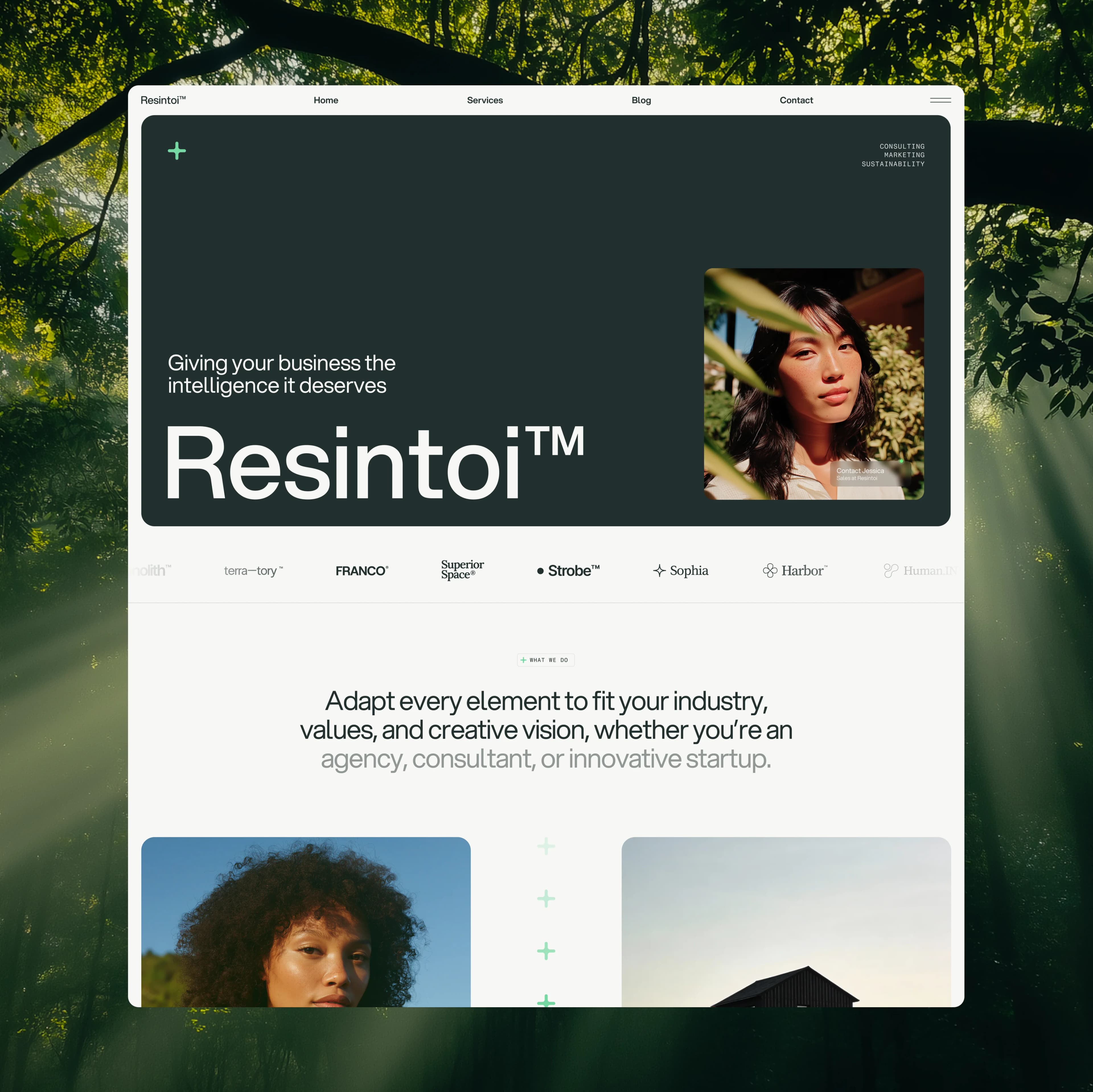 Resintoi