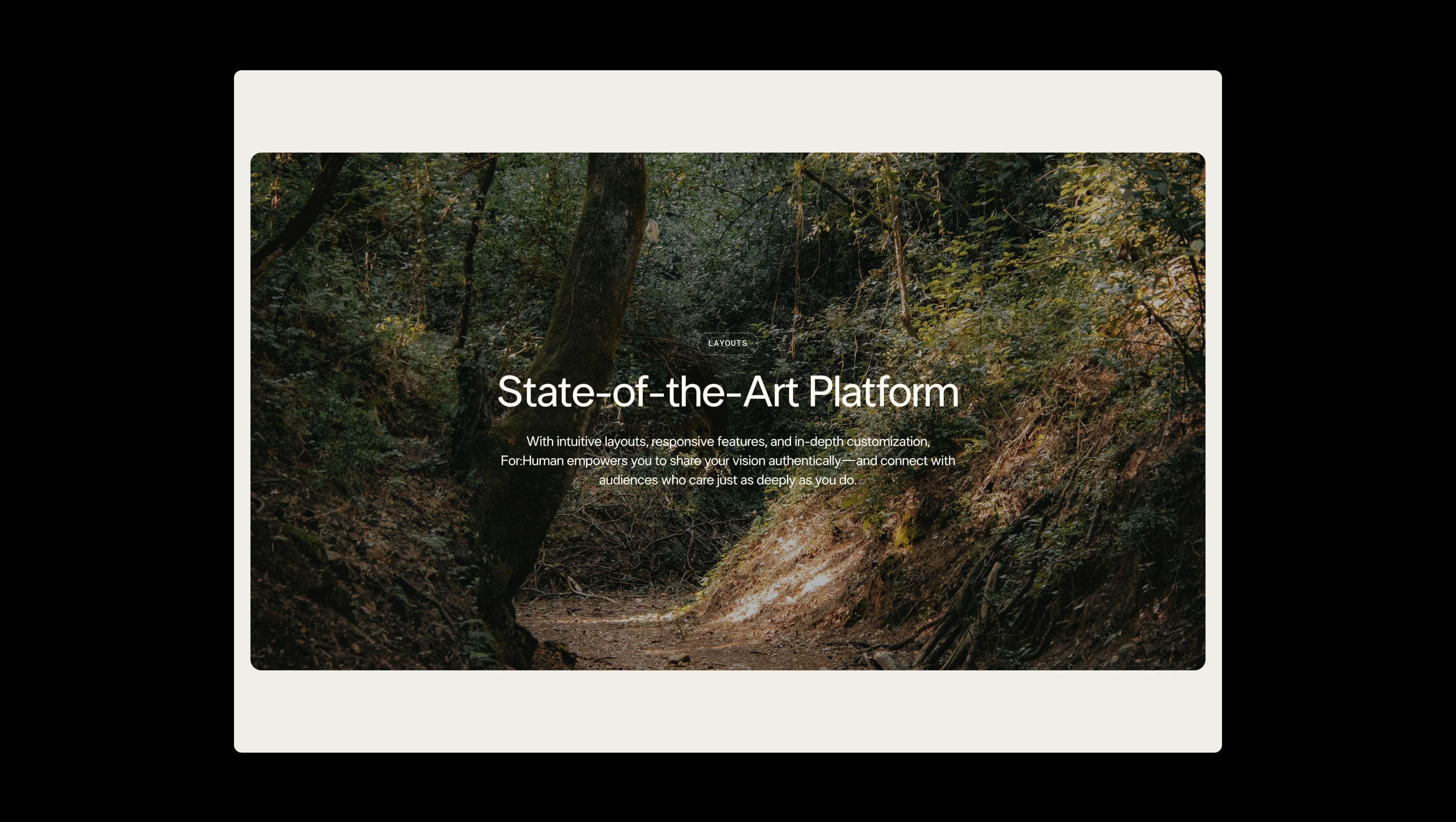 Full Width Hero Section