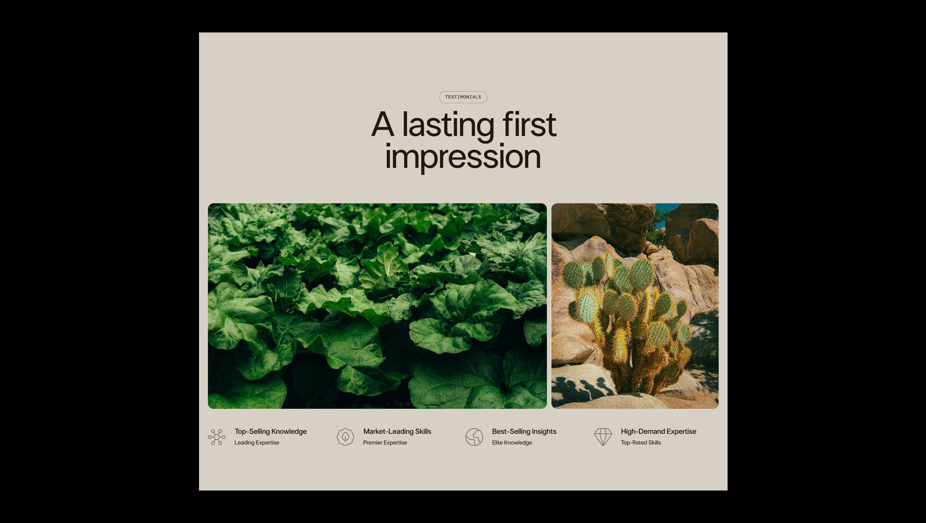 Features Grid with Images