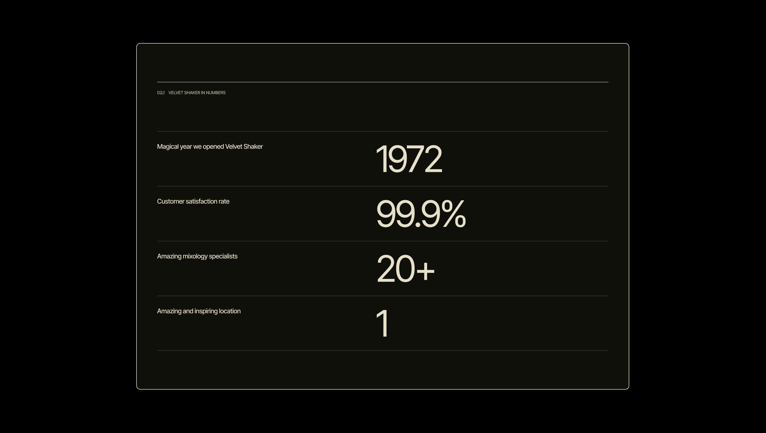 Stats Section with Divider