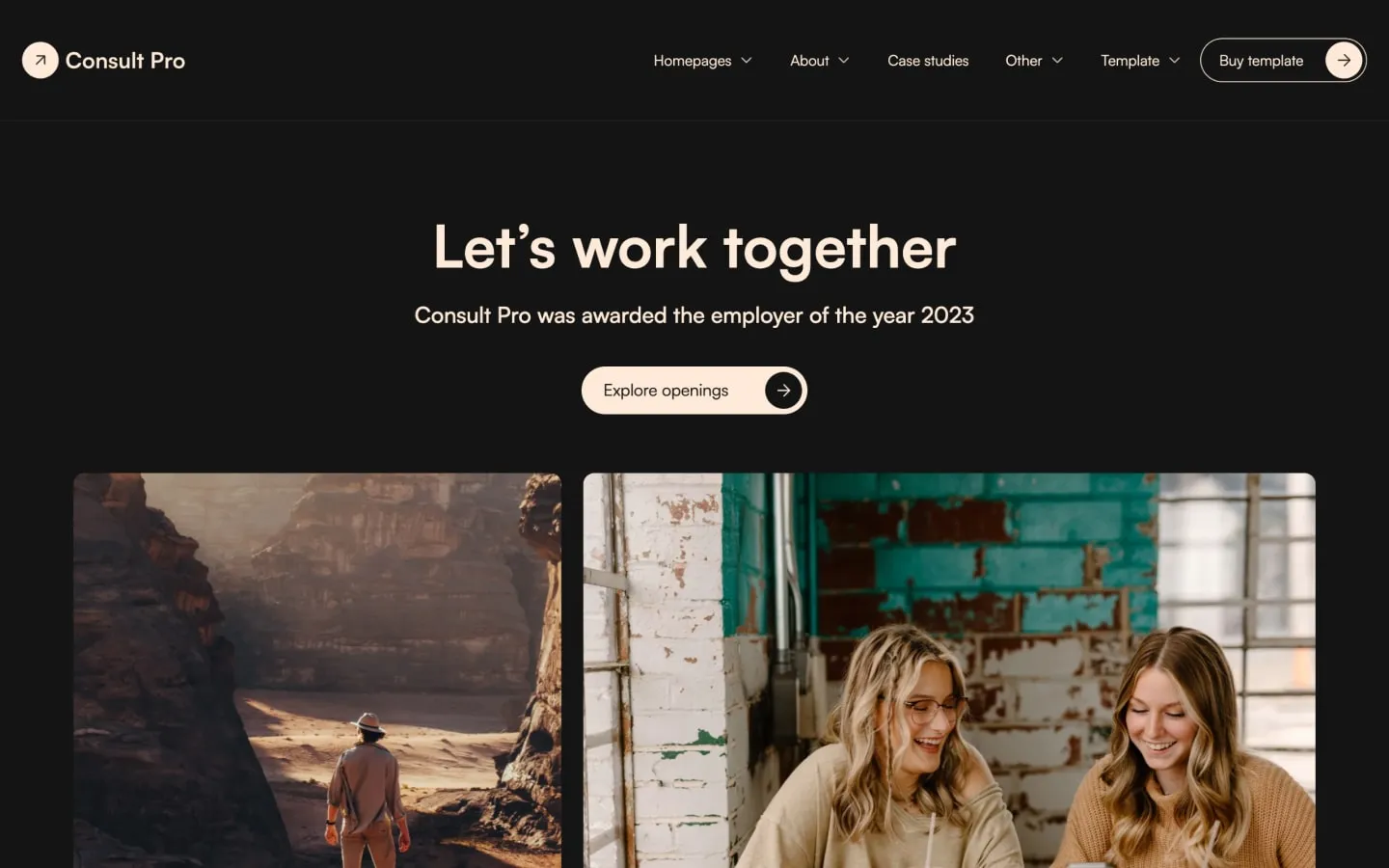 Consult Pro (Dark) gallery image 3