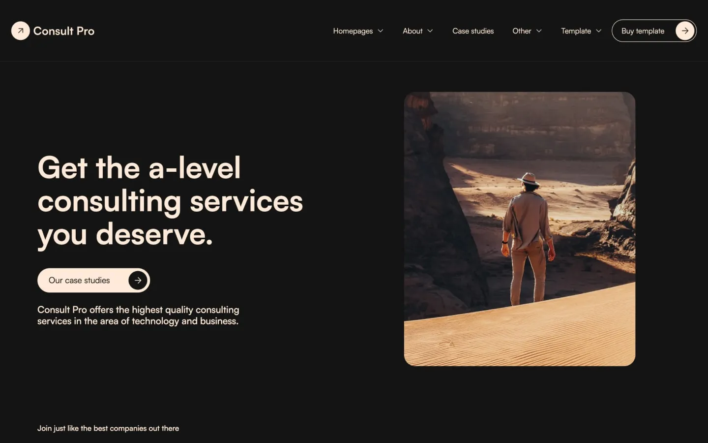Consult Pro (Dark) gallery image 1