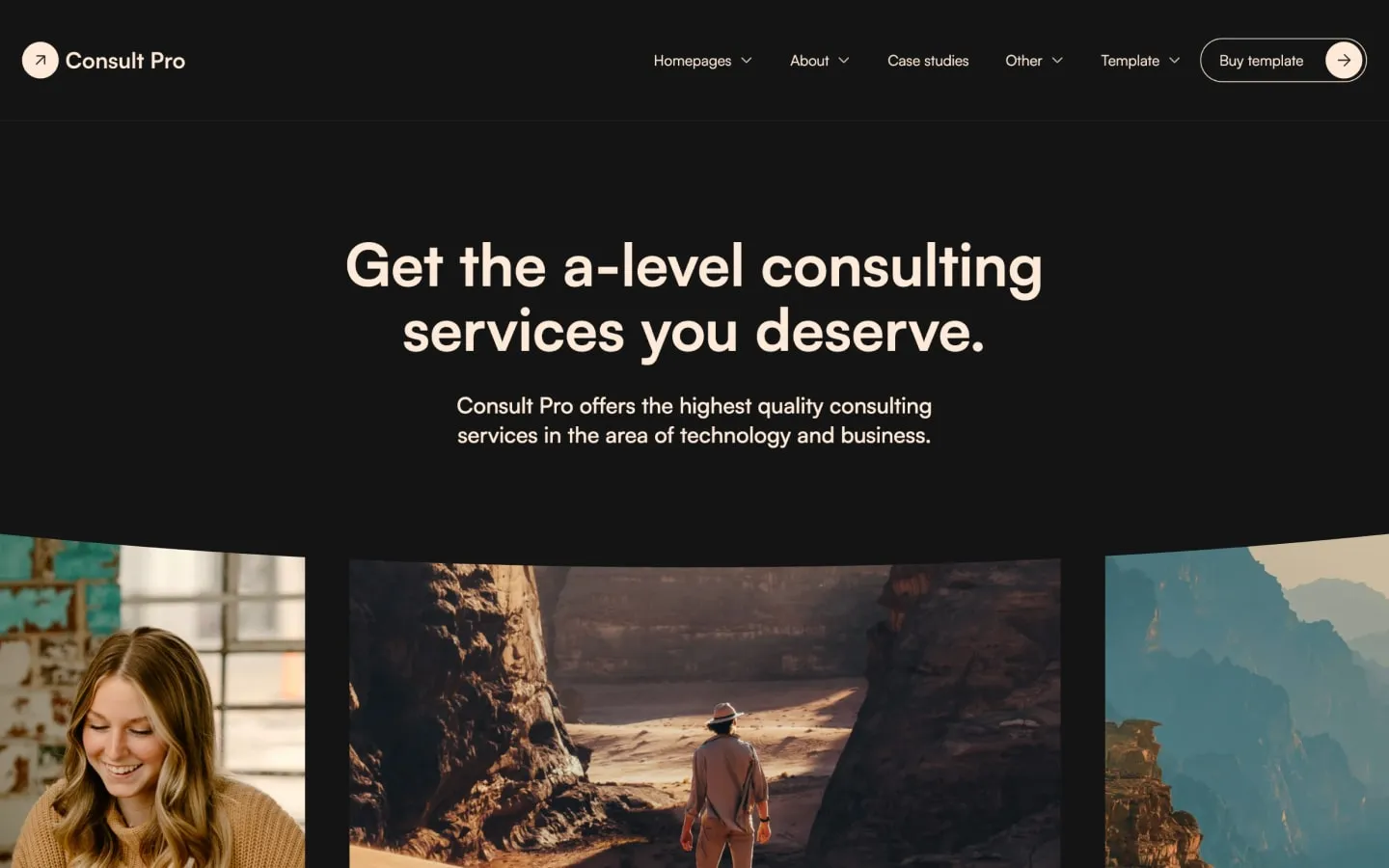Consult Pro (Dark) gallery image 5