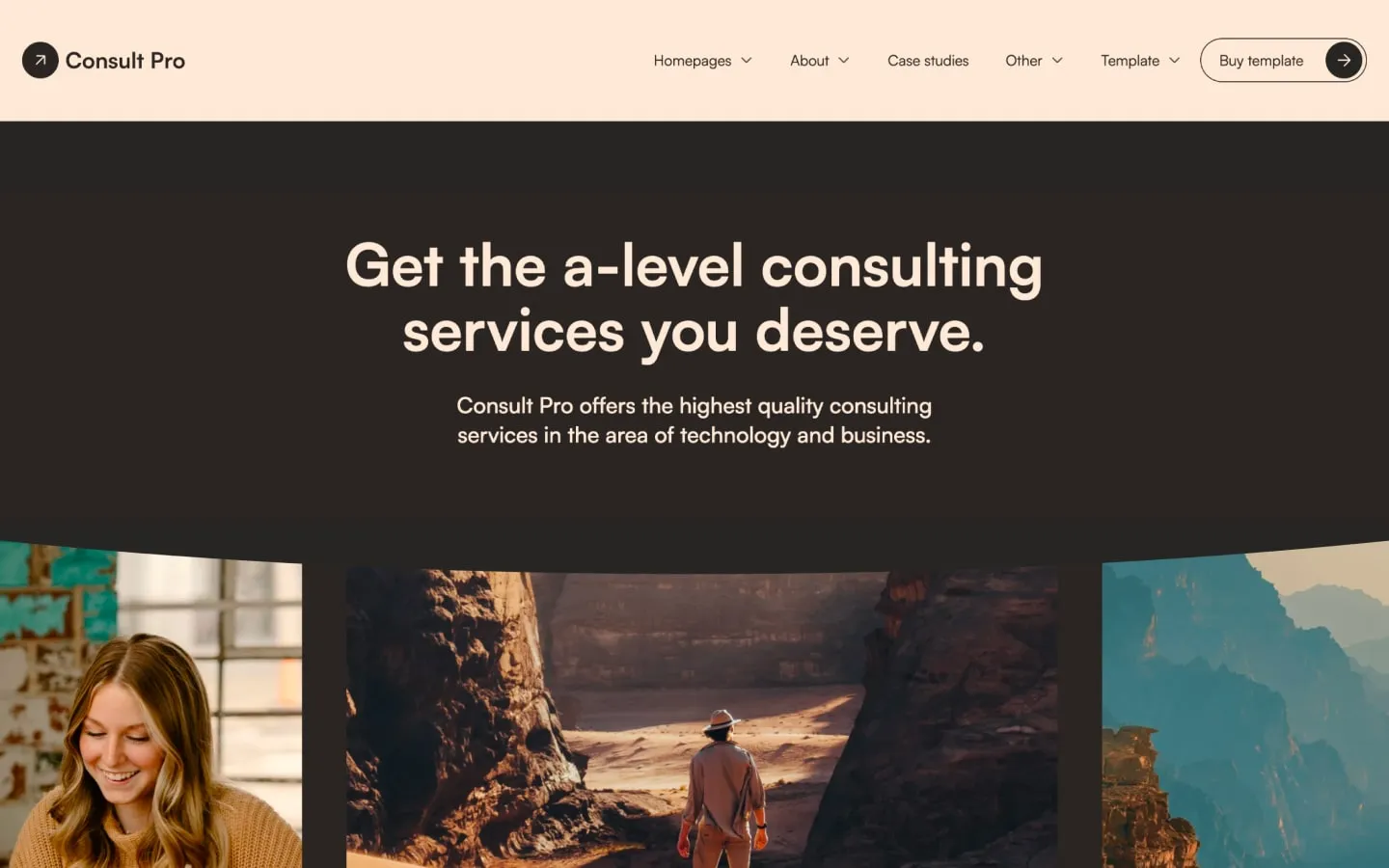 Consult Pro gallery image 2