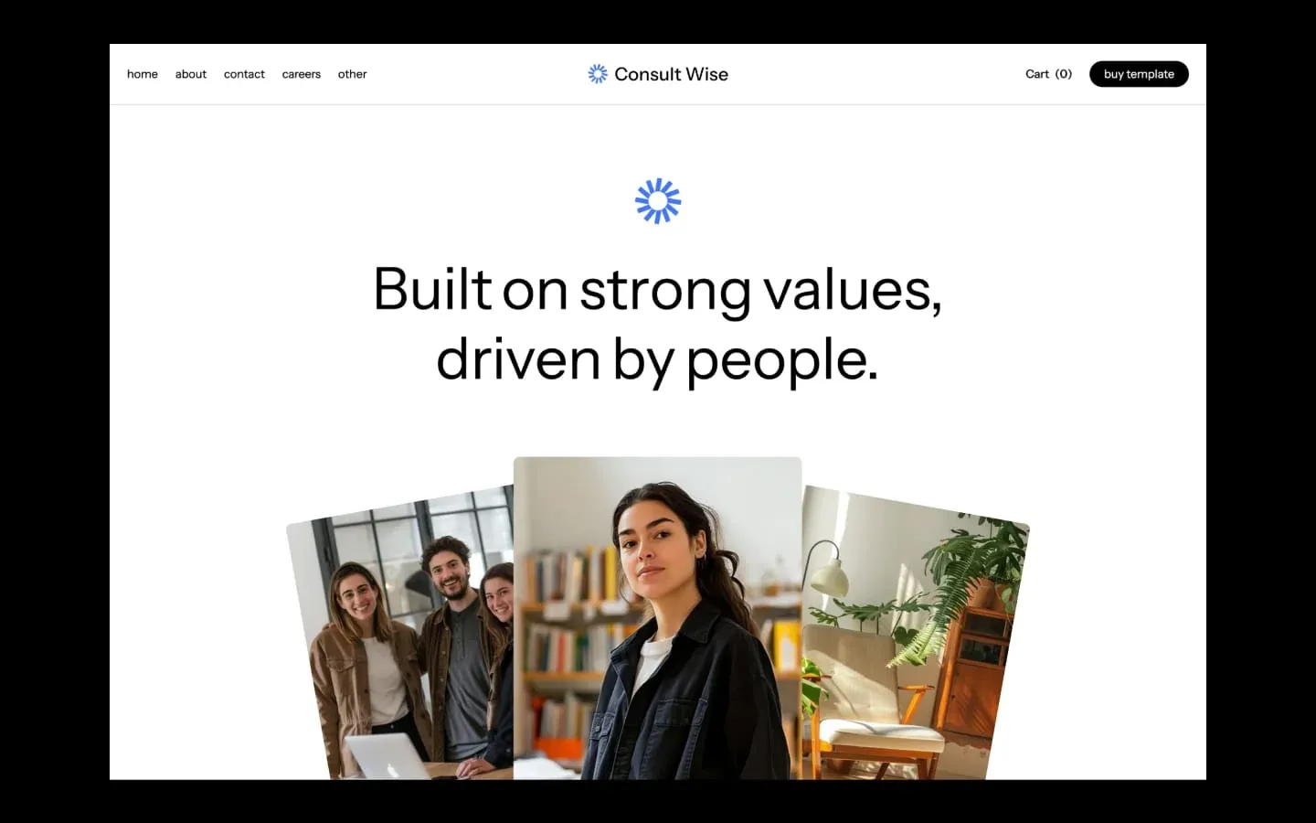 Consult Wise gallery image 1