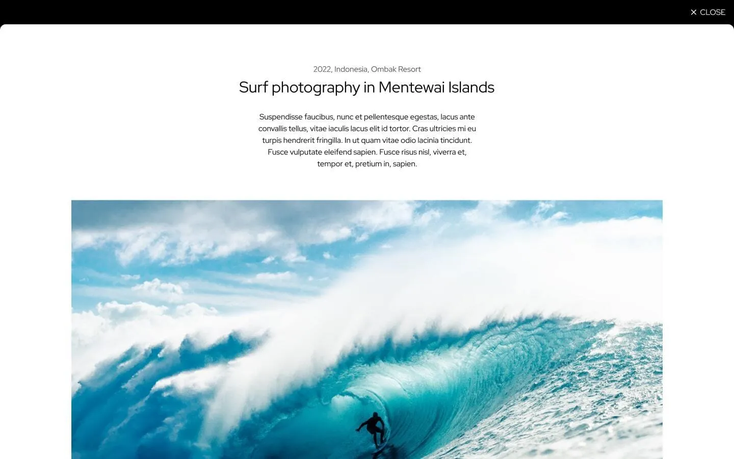 Noah gallery image 2