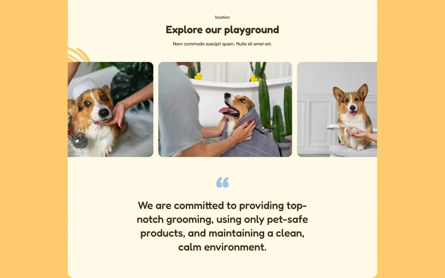 Pet Grooming gallery image 3