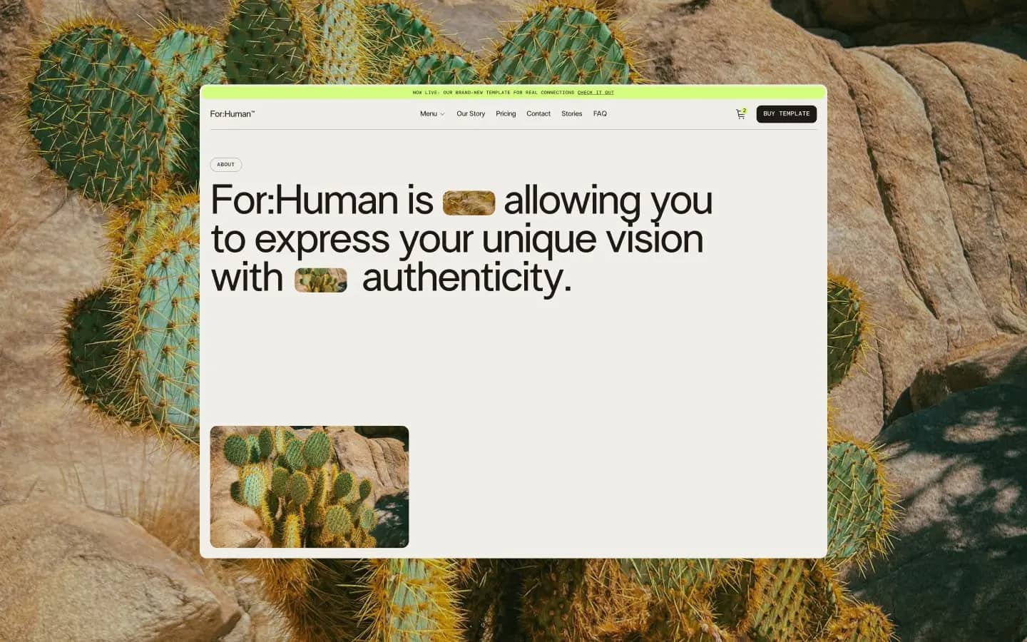 For Human gallery image 2