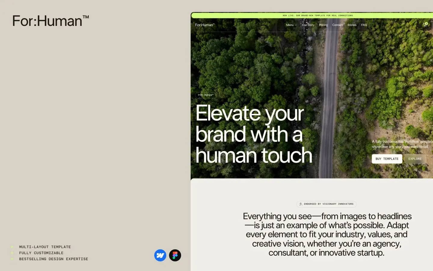 For Human gallery image 4