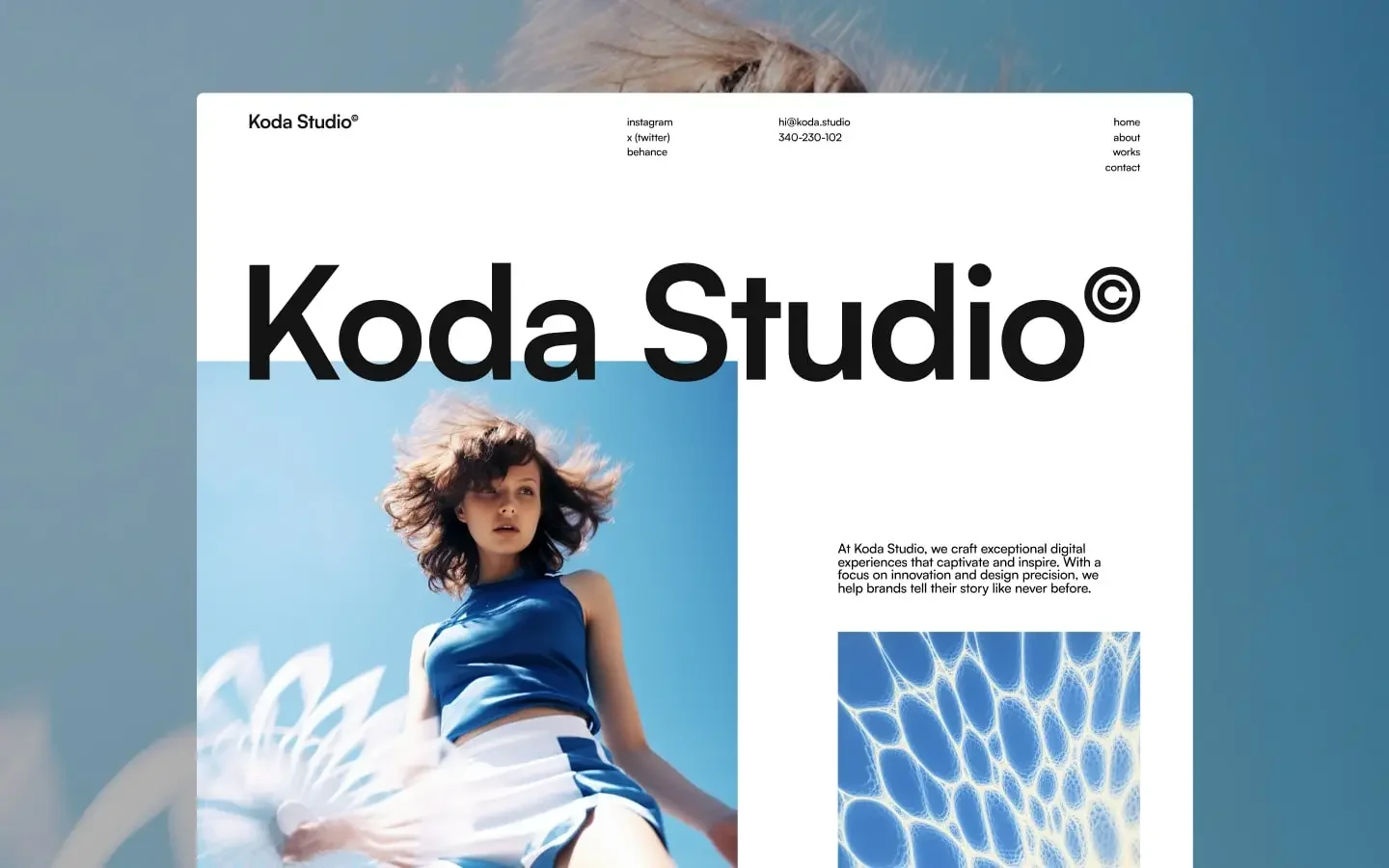 Koda gallery image 1