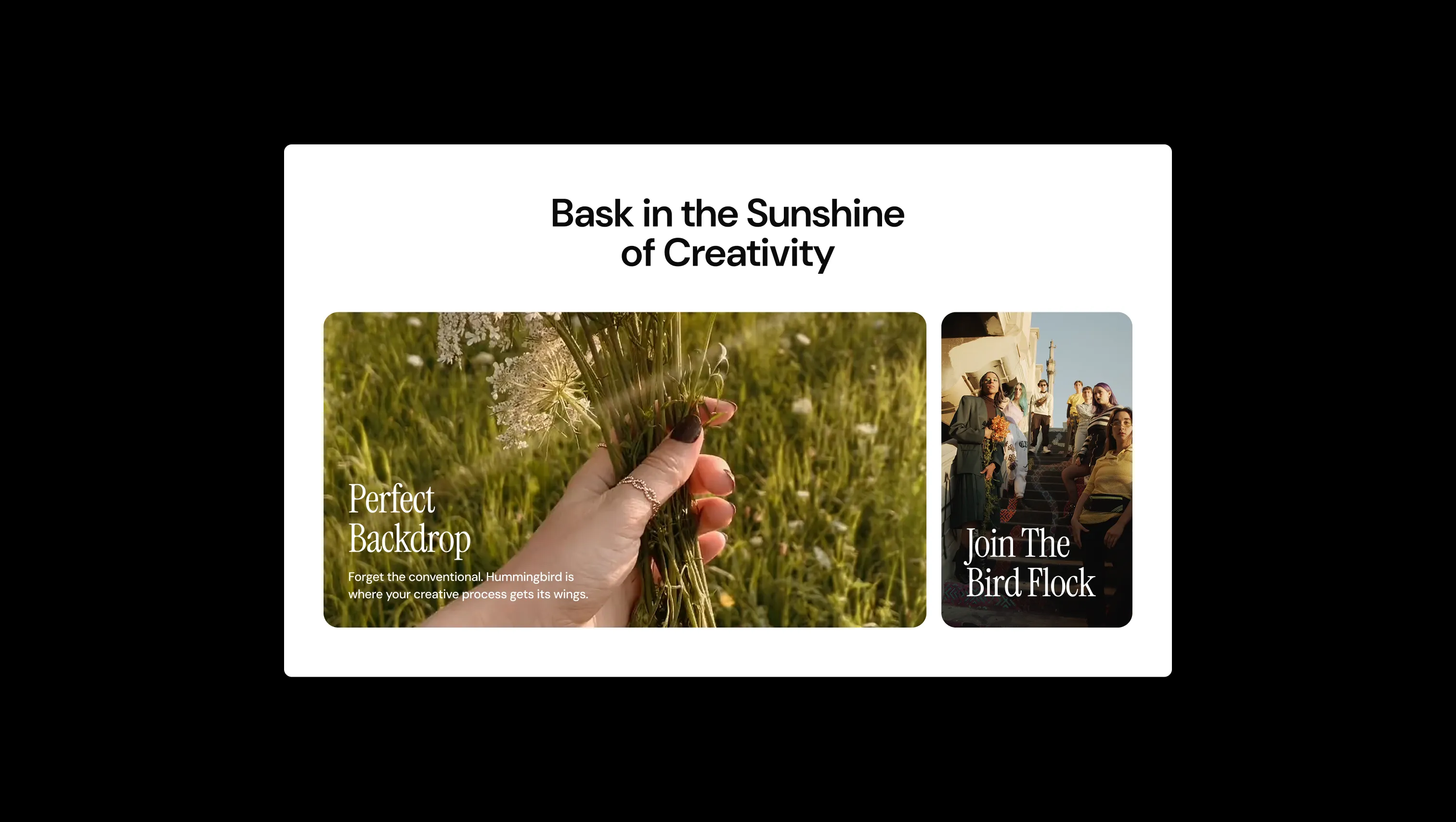 Interactive Video Showcase Section